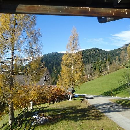 Bauernhof Oberkendl Villa Wagrain Dış mekan fotoğraf